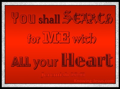 Jeremiah 29:13 You Shall Seek Me And Find Me (red)